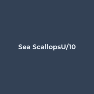 Sea Scallops U/10
