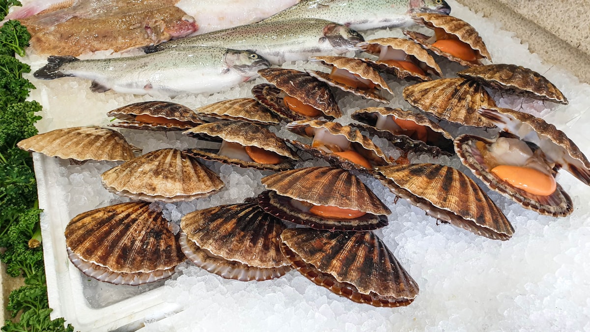 Diver Sea Scallops, Dry-Packed, per lb