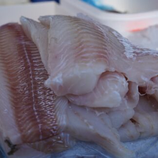 Farm-Raised Catfish Fillet