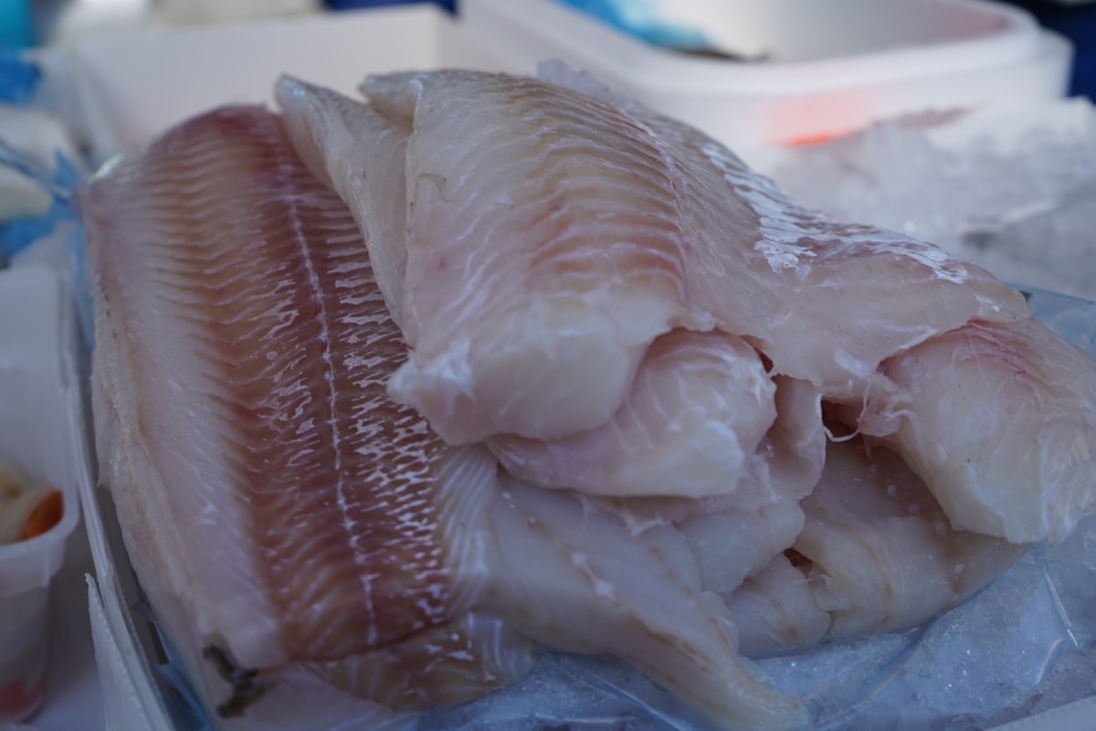 Farm-Raised Catfish Fillet