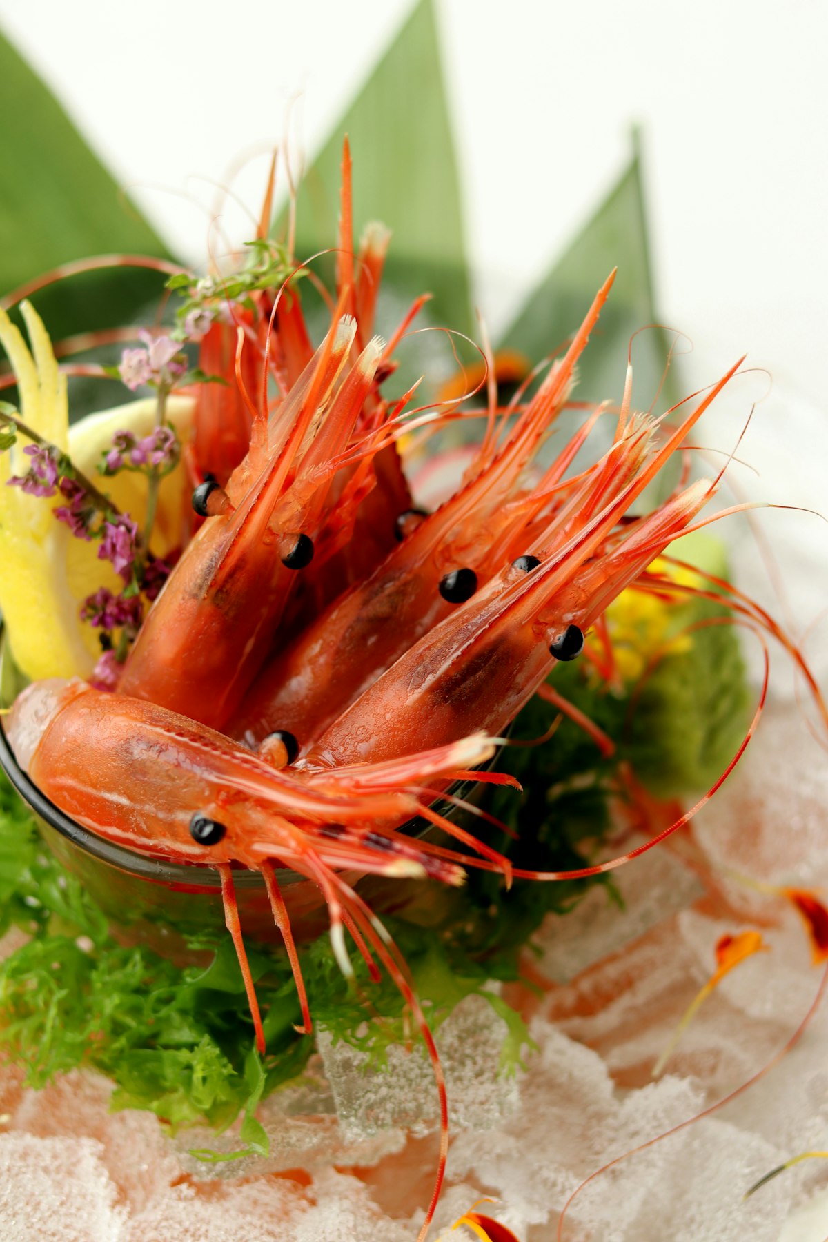 Gulf Brown Shrimp, Head-On, per lb