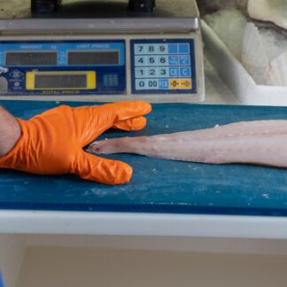 Gulf Red Snapper Fillet, Skin-On