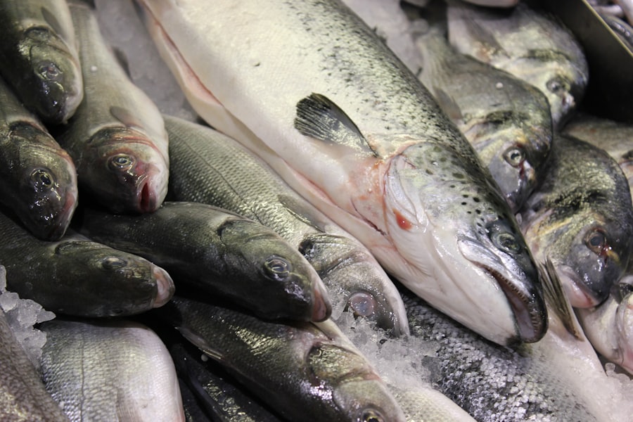 Fish